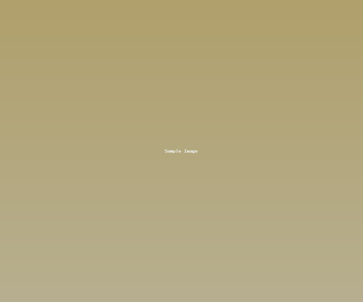 sample-image-90.jpg